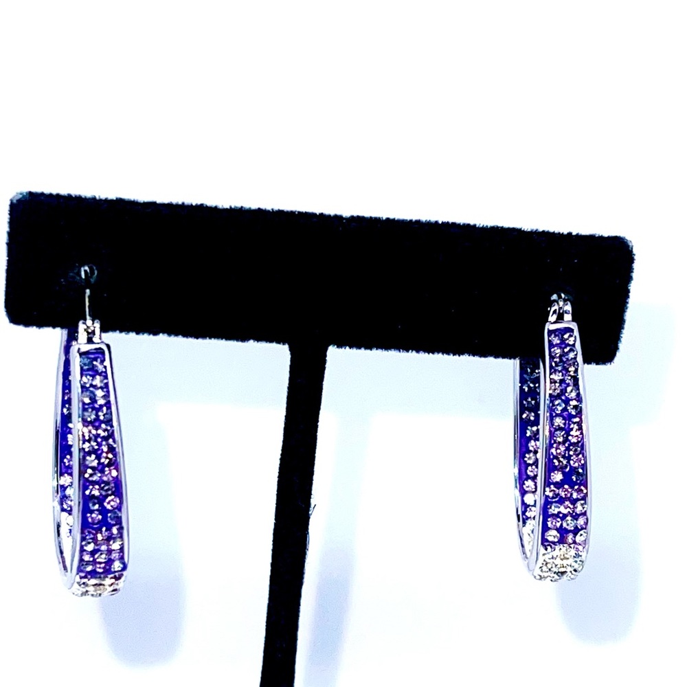 NWT 🆕 Yeidid International Purple Crystal & Silvertone Hoop Earrings